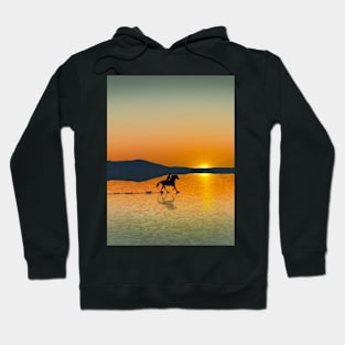 Horse riding artwork Hoodie